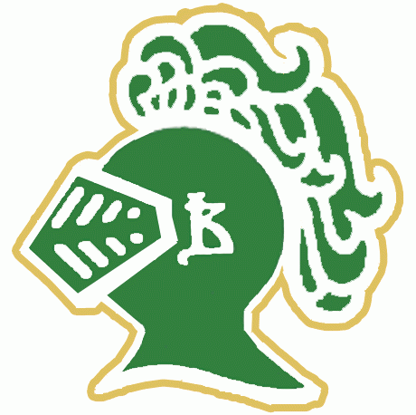 London Knights 1981 82-1985 86 Primary Logo iron on paper